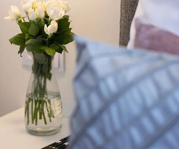 Riverview Bridge & Epapartamenty Apartmán *